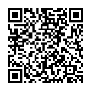 不论是谁拿了几个奥斯卡――这一切都无法让她有任何一点感情二维码生成