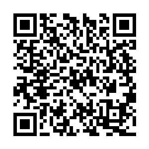 不论是问道剑术还是天涯咫尺身又或者四方问真步二维码生成