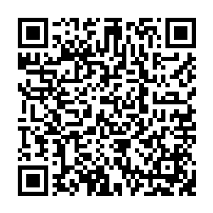 不说将到手的玩具都砸掉的小春风和坚持每次喂奶的时候不肯就范的巧巧二维码生成