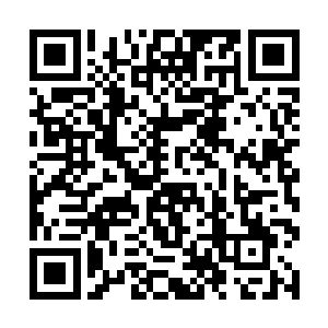 不说山洞里的人听了种植的提议之后一脸希冀的喜悦二维码生成