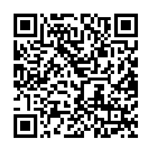 不说现在的这座时间之塔讲拳头的话不会落在执天阁的手中二维码生成