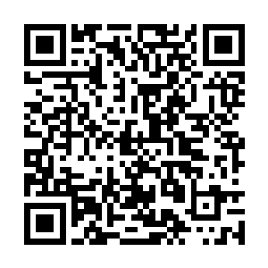 不说萧红绫一身逆天的火凤血脉连自己都觉得忌惮二维码生成