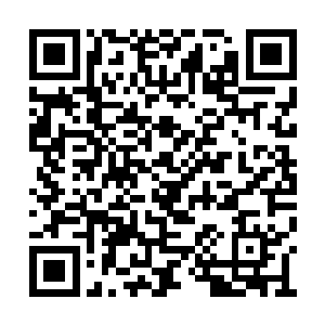 不过……要是这块黄金真的只值十几万也无所谓二维码生成