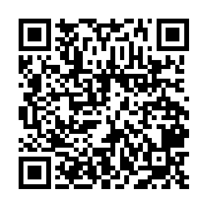 不过…我倒是好奇对方摆出这么一副阵仗是想要做什么二维码生成