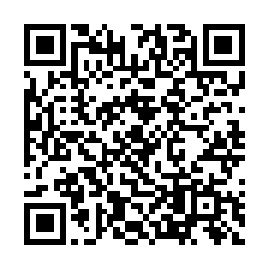 不过・・・・・・此人可以在ct中做出这样的控制二维码生成