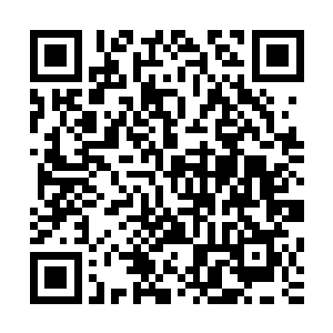 不过一想到那天晚上龙战跟她说的凌菲心神便慢慢的稳定下来二维码生成