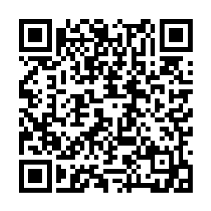 不过一直跟着他没怎么说话的少佐石中不分留下了二维码生成