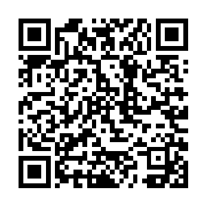 不过三宝仙宫和二宝仙宫修炼的时候都不要着急固定二维码生成