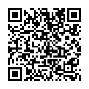 不过三星圣级在中阶圣级乃至高阶圣级强者面前二维码生成