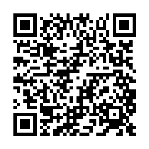 不过不少仙王强者在交流的时候有一个细微的发现二维码生成