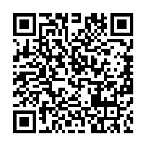 不过东方世家的这些来客心中却感觉到一股强大的悸动之感二维码生成