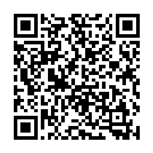 不过也不是没有好处那就是这人不从政就是个大金主二维码生成
