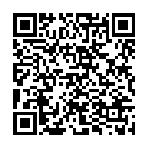 不过也是第一时间就把目光放在了张晓华的身上面二维码生成