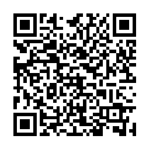 不过二期是由陆海集团下辖的建筑公司获得了合同二维码生成