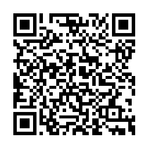 不过京畿之地的县衙比其余县的县衙都要好一些二维码生成