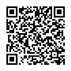 不过仅仅是大小姐的男朋友真能保护大小姐的安全吗二维码生成