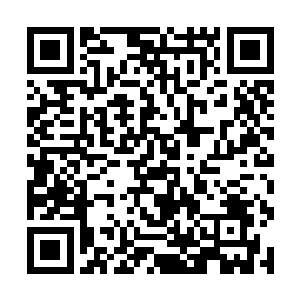 不过今天这西郊的山脉边上却出奇的有着很多的豪车二维码生成