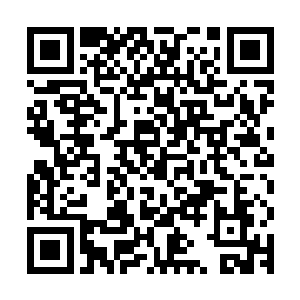 不过仔细想来大概也是这整整一天的折磨让着对方已经精疲力尽二维码生成