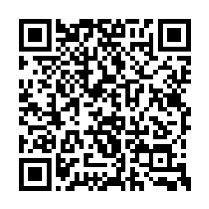 不过他也明白此时此刻不是感悟这些剑道的时机二维码生成