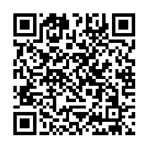 不过他们一样不认为夏天一个人可以对付整个千景门二维码生成