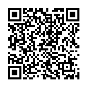 不过他们却不知道龙傲天早就在第一时间发现了他们的踪迹二维码生成
