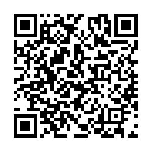 不过他却是不记得他在哪里和这个千面真君见过面二维码生成