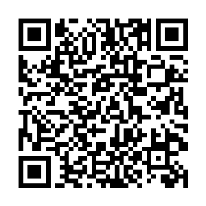 不过他却觉得眼前的虎臣哥似乎变得有些不太一样了二维码生成