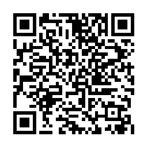 不过他并没有像王磊那样扑到苏凡的跟前抱大腿二维码生成