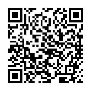 不过他提出的这些要求却让天门众人都是纷纷怒目而视二维码生成