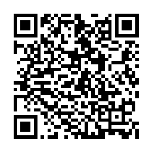 不过他还是通过电话稍微透露了一些消息给修罗二维码生成