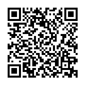 不过他还真是没想到想到对方会是……外貌这么出众的一个人二维码生成