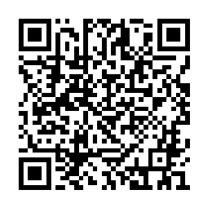 不过他这一早上光没事和苑沅在那儿逗眼神玩了二维码生成