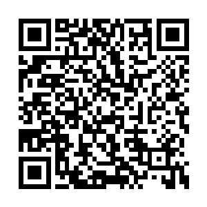 不过他那双漂亮的星眸还是一瞬不瞬的盯着苏落二维码生成