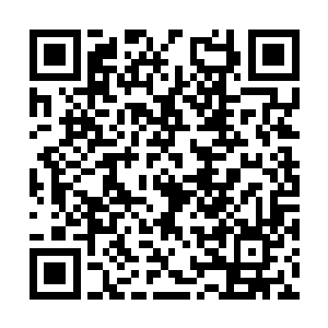 不过他那带着刻骨仇恨的叫嚣声却在空中久久回荡二维码生成