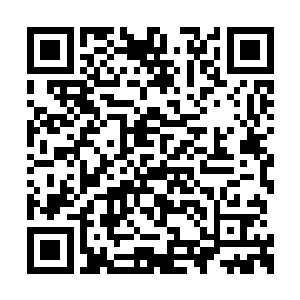 不过价钱也就能买那位跑车上的一个车轱辘罢了二维码生成