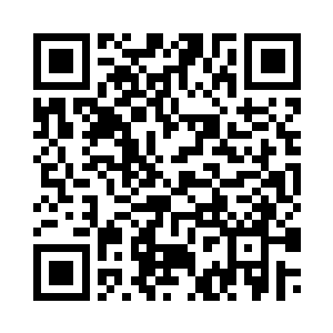 不过你的一个同伴掉队落在我手里二维码生成