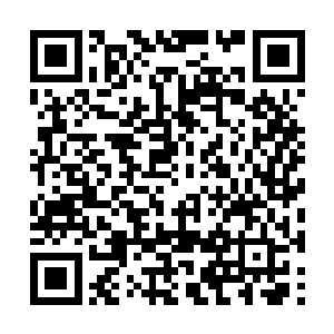 不过倒是没有引起玄灵和星凡两人到来时候的轰动二维码生成