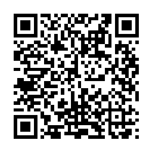 不过偶然听见一小丫头与人闲聊时提及的乡野传说罢了二维码生成