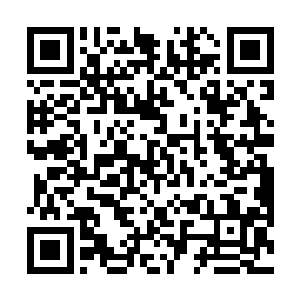 不过像是这样能够陪着自己崇拜的人一条道走到黑的人二维码生成