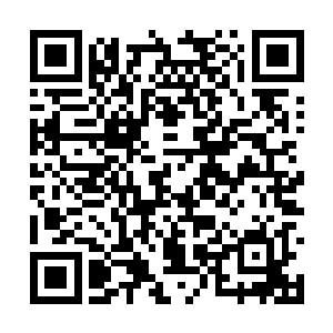 不过先前晓阳他们已经分成几个组出去了解情况了二维码生成