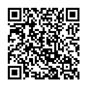 不过六十多只王者种这样的消息听起来还是很恐怖的二维码生成