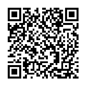 不过其中有六百多株的莲子上包裹的膜不是半透明的二维码生成