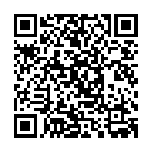 不过其中花费也包括了给杨开购买一枚玄牝灵果所付出的墨币二维码生成