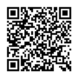 不过凤祖的不屈意志之中含有一种至高意境在内二维码生成