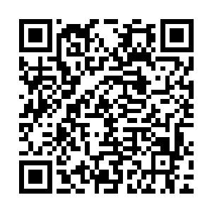 不过凭他们的身份地位是不会看风北尘扔了块骨头出来就去抢的二维码生成
