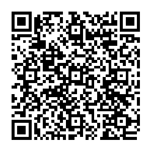 不过刚才刘猛把那个锦衣青年踢到房间的角落那一脚却让张铁更高看了两兄弟一眼二维码生成