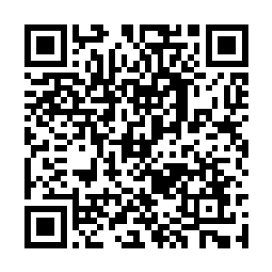 不过剧情君仍旧非常贴心的将刘成安排为她的同桌二维码生成