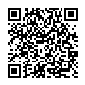 不过劳伦的脸色垮了甲板上观赏的水手们心情却是大好二维码生成