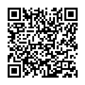 不过包裹着它的半透明薄膜却是直接被挤压崩开了一道裂缝二维码生成