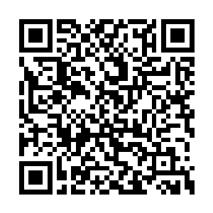 不过却发现秦薇薇看他的眼神似乎变得有些复杂二维码生成